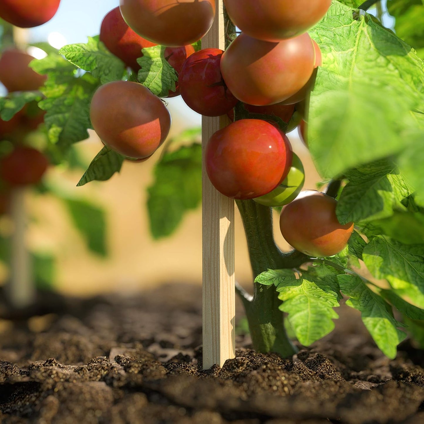 Greenes Fence 4 Ft. Garden Stakes (50 Pack)