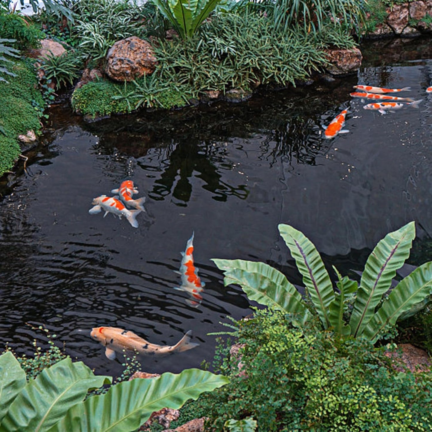 16 x 16 FT Pond Liner, 20 Mil Fish Pond HDPE Liner, Pond Liners for Outdoor Ponds, Koi Ponds, Garden Fountain, Waterfall