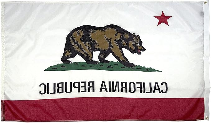 FlagSource California Nylon State Flag, Made in the USA, 5x8'
