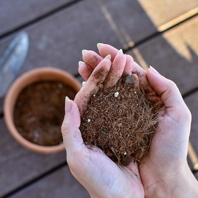 Tropical House Plant Potting Mix (2 Quarts); for All Types of Indoor House Plants