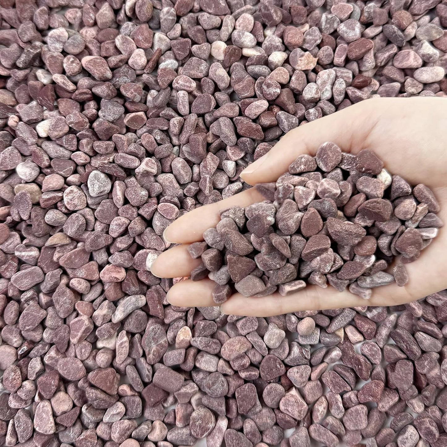 10 lbs Pebbles for Plants, 3/8 Inch Pea Gravel Stones Decorative Red River Rocks for Succulent, Cactus, Landscaping, Vases, Terrarium, Aquarium, Potted Top Dressing and Outdoor Garden