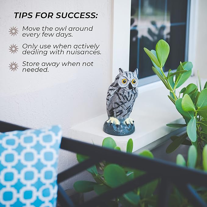 Galashield Owl Decoy to Scare Birds Away | Plastic Owls to Scare Birds Away | Owl Statue for Garden & Outdoors by Galashield [Set of 2]