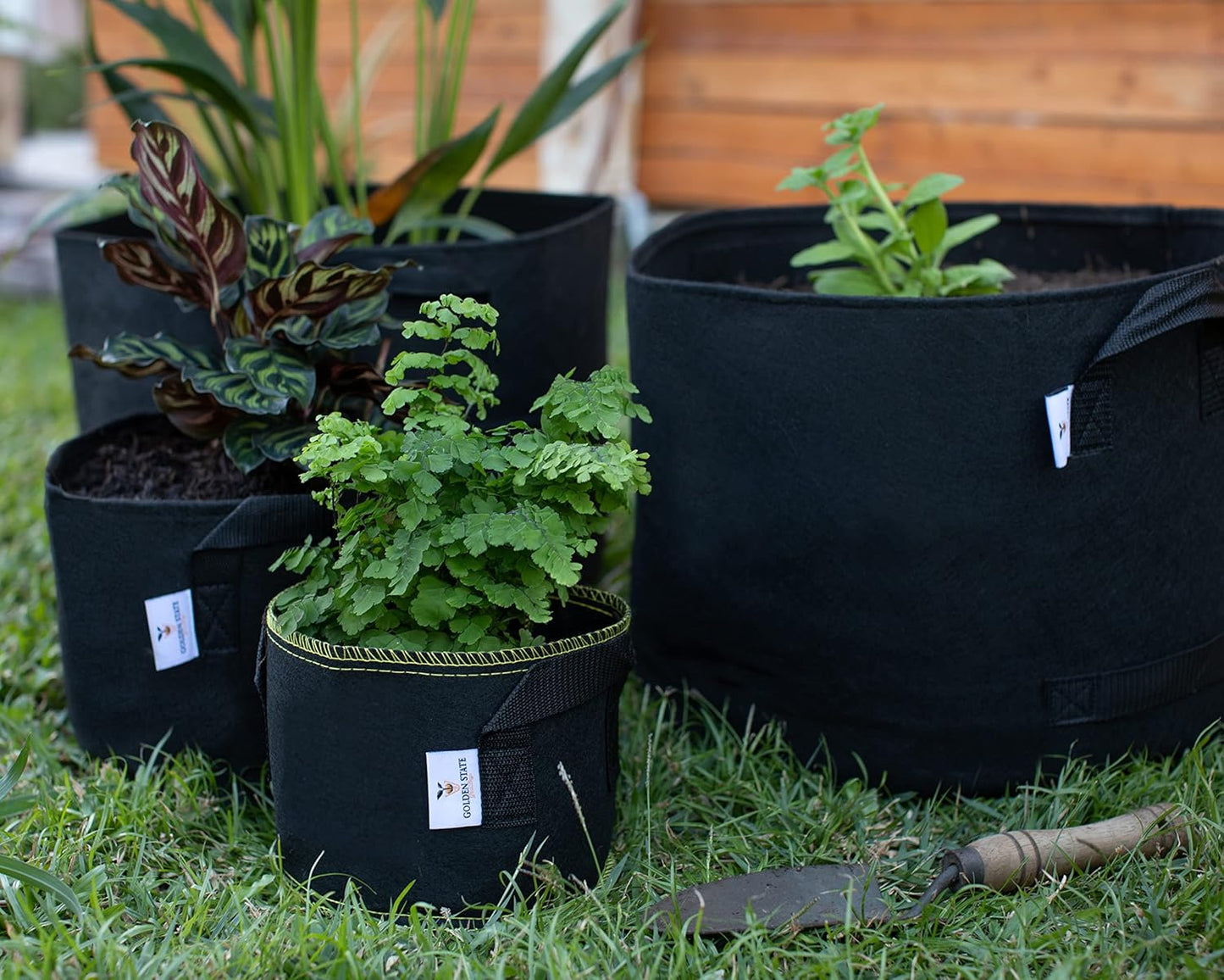 Grow Bags: 5-Pack (Size: 20 Gallon): 300gsm Black Felt Fabric w/Yellow Stitch, Biodegradable and eco-Friendly Material. (Handles + Dumping Handles-pat.Pend).