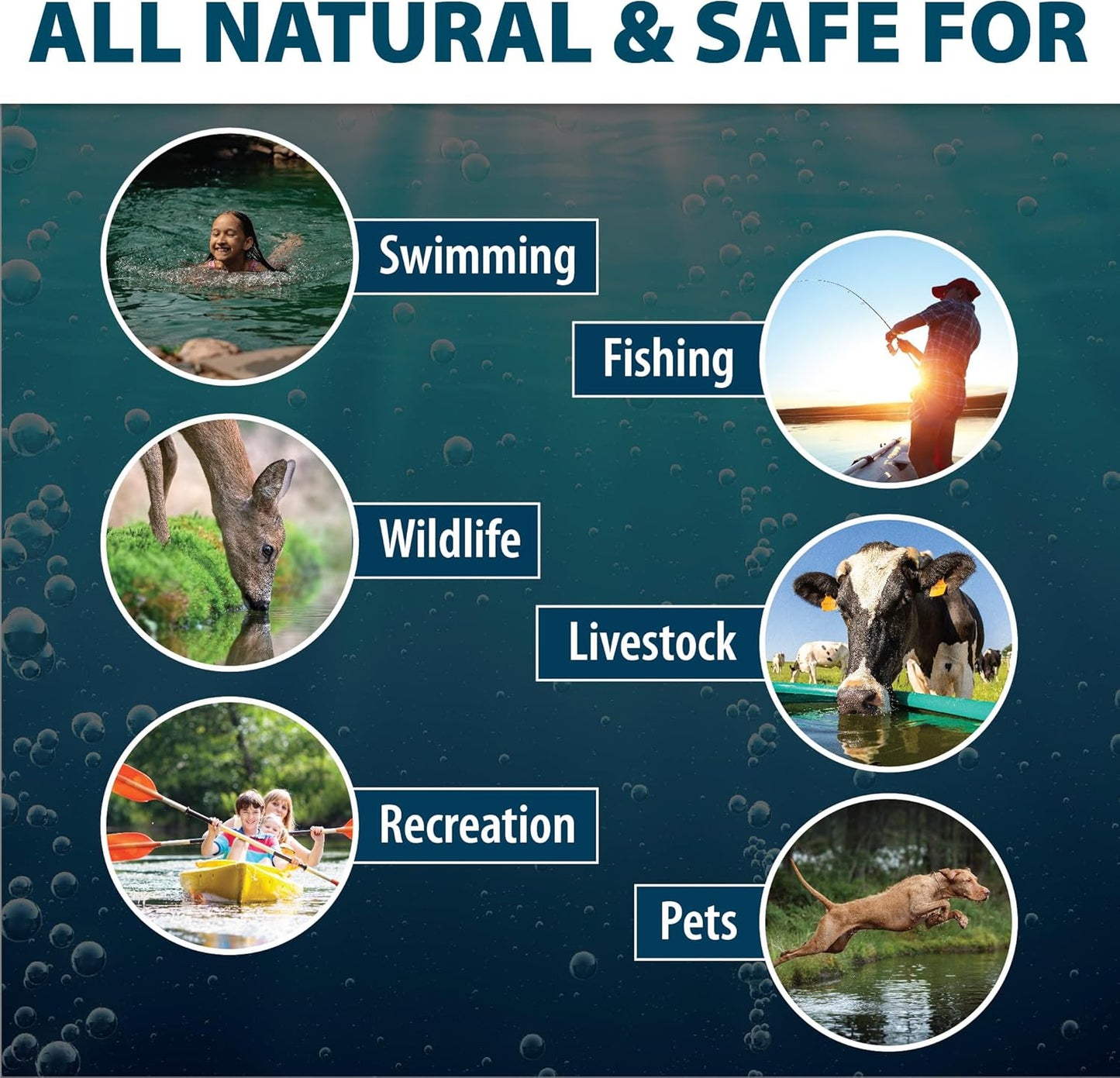 Airmax Black DyeMond Pond Dye Packets Natural Water Colorant for Ponds, Beneficial UV Blocking Color Concentrate, Maintain Clean & Clear Water, Fish, Bird & Animal Safe, 16 Packet