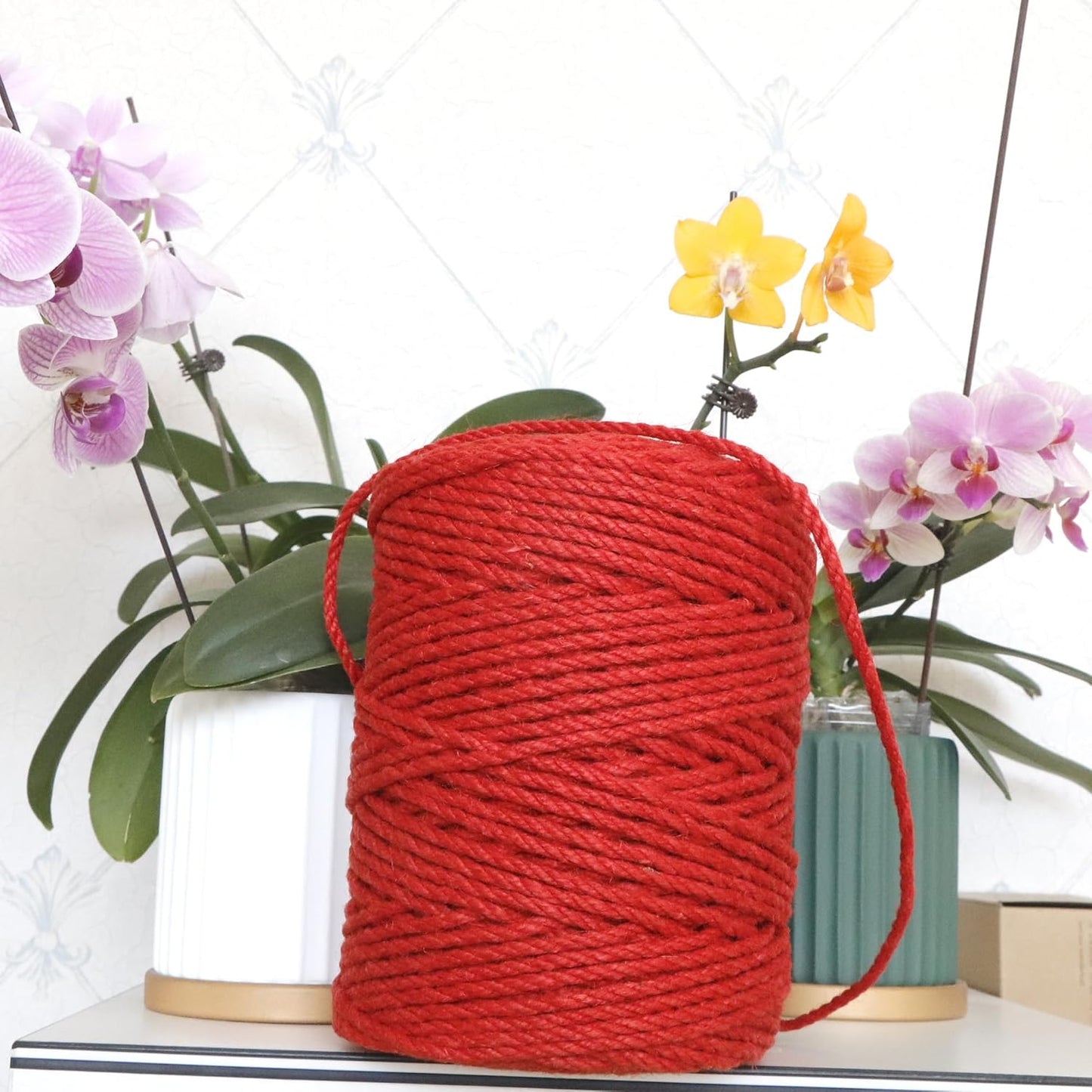 4mm x 300 Feet Red Jute Rope, Twine for Gardening Tomato Climbing Plant Tie Floristry Crafts Gift Wrapping Packing Decor