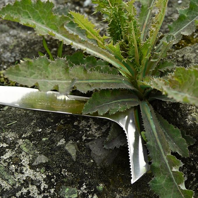 Hand Weeder Puller Tool, Dandelion Fork Weeding Knife Tool - 2023 New Garden Tool for Weeders Easy Quick Clean Removal Root Digging - Original Multi Use Rust-Resistance (13in)