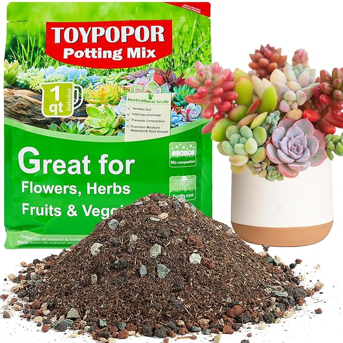 TOYPOPOR Succulent Soil, Cactus Potting Mix 1.25 Pounds/1 Quart, High Drainage, Pre-Mixed Ready to Use for All Succulent Varieties, Indoor Plants, Bonsai, Terrarium, Houseplant, 30% Particles 70% Soil