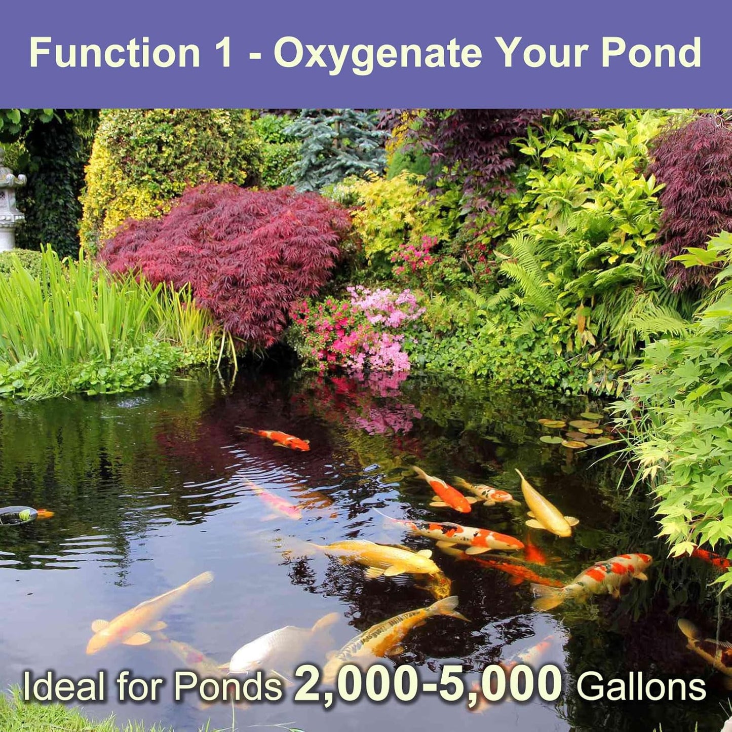 AquaMiracle Koi Pond Aerator Pond Air Pump with Self-Sinking Airline Rubber Air Diffuser, Air Flow Control Pond Deicer All-in-One Pond Aeration Kit for Outdoor Pond 2,000-5,000 Gallons