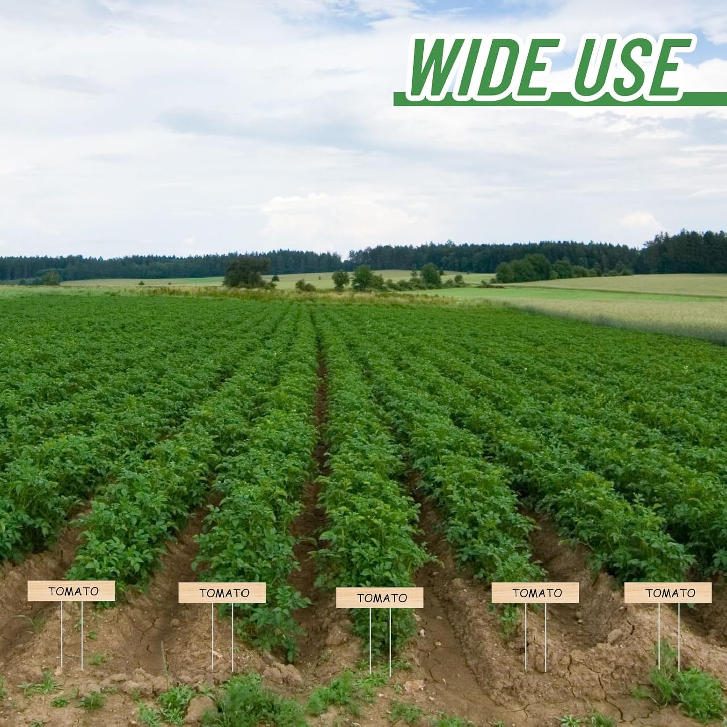 10 Set Jumbo Outdoor Plant Label Stakes Waterproof Nursery Garden Markers Plastic T Type Plant Tag Identification Stake with Marker Pen for Herb Vegetable Flowers, 12" High(Wood Color)