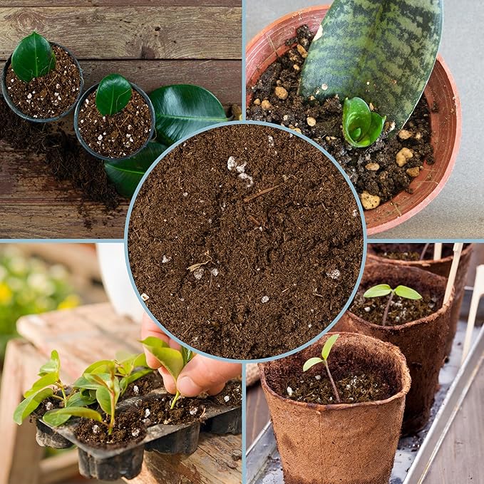Planting Mix for Plant Propagation (4 Quarts), Hand Blended Soilless Mix for Propagating Plants, House Plants, and More