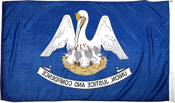 FlagSource Louisiana Nylon State Flag, Made in USA, 5x8'