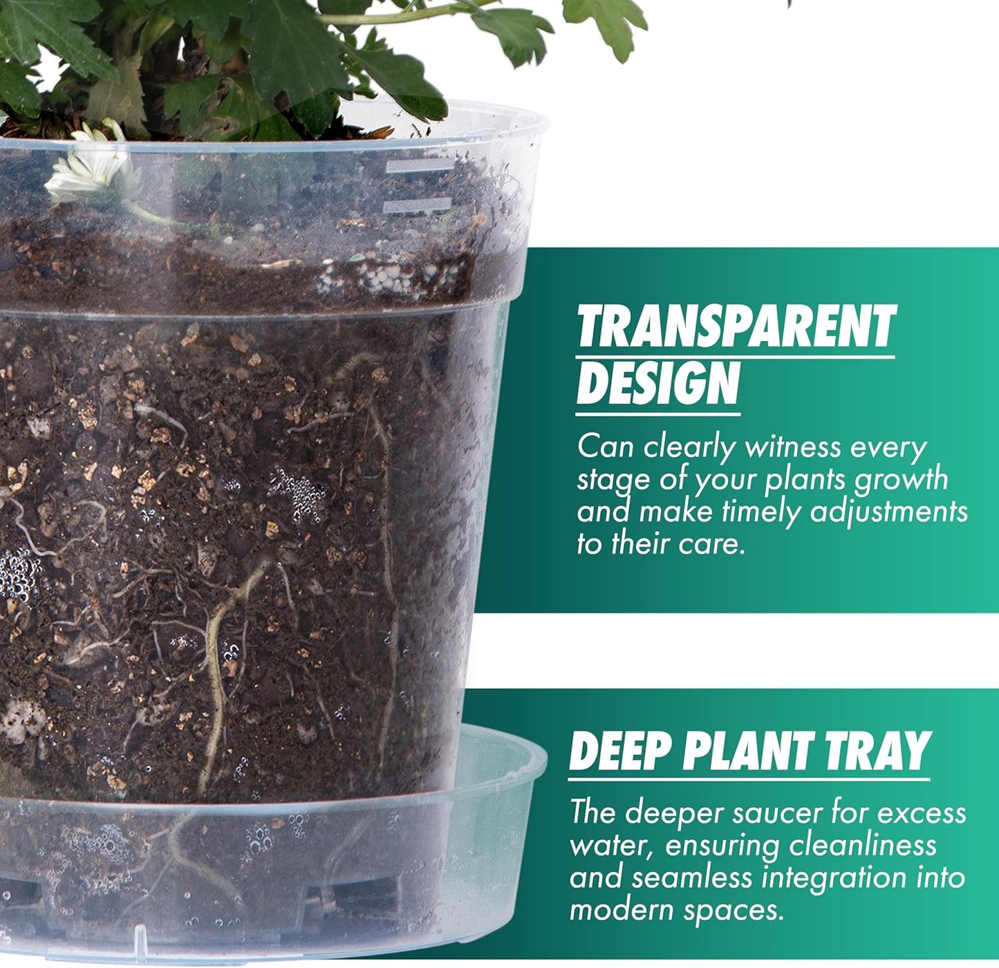 1 Gallon 6 Inch Clear Plastic Plant Pot with Drainage Holes, Interlocking & Detachable Tray - Deep Saucer - Durable BPA-Free Plastic, Transparent Design, Raised Base for Airflow, Set of 12, 92-X-B-6