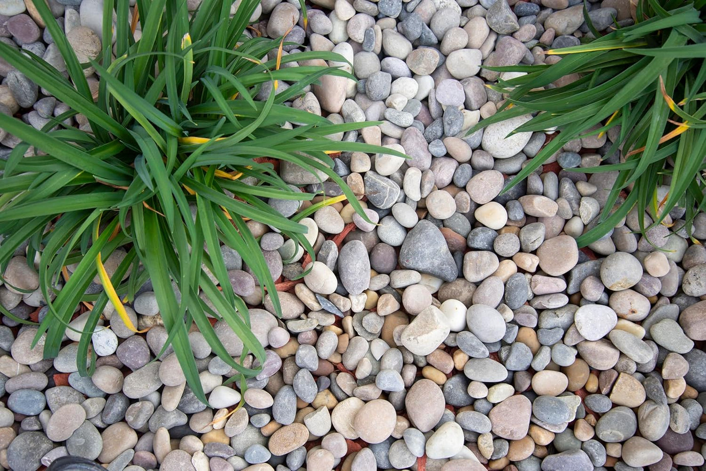 MSI Amazon Decorative Polished Multicolor Pebbles, 0.4 inch - 1.2 inch, 40 lb. Bag