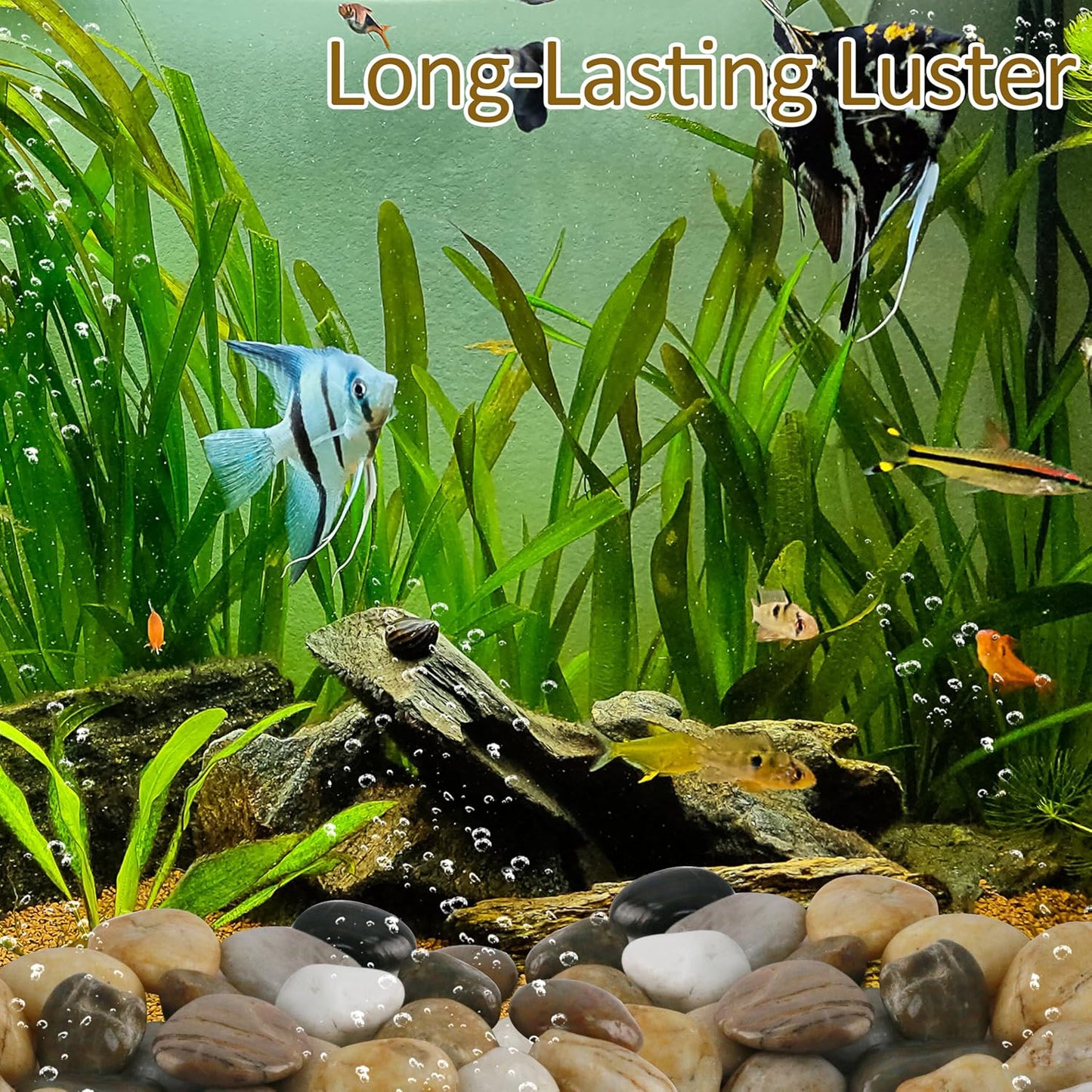 Sunnyglade 18 LBS River Rocks, 2-3 Inch Natural Pebbles for Indoor Plants, High Polished Decorative Stones Vase Filler Fish Tank Aquariums Landscaping Garden Outdoor and Indoor DIY (18, Pounds)