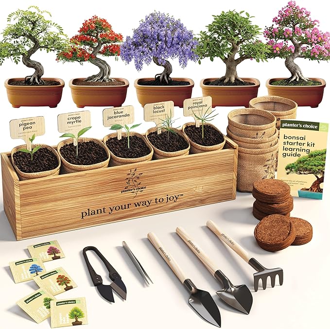 Planter's Choice Bonsai Tree Starter Kit - Unique Gifts for Women, Men - Christmas Gifts for Adults - Indoor Live House Plants - DIY Crafts for Adults Craft Kits - Hobby Gift for Gardening Lovers