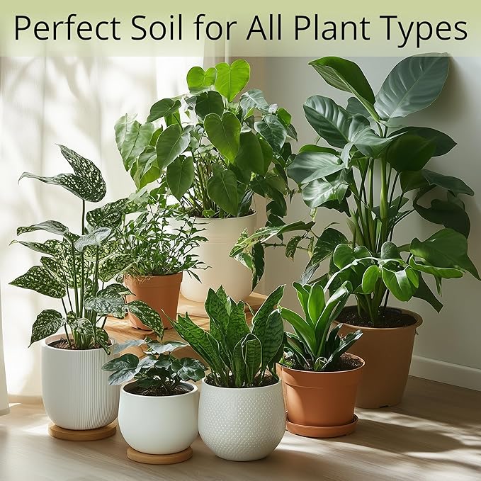 Coconut Coir Potting Soil for Indoor Plants - Expands to 3.5 Quart (7.5 lb) | Bonsai Soil Discs Perfect for General Houseplants, Herbs, and Bonsai Trees - Expands with Water