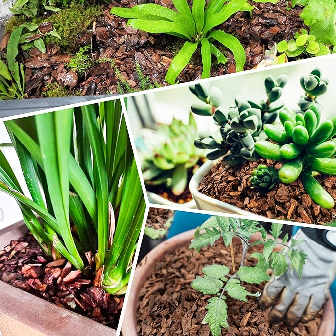 29qt Organic Orchid Potting Bark -Natural Orchid Mulch for Potted Plants, Root Development of Orchid Plants and Garden Soil Amendment Mix…