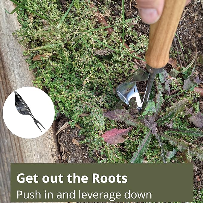 Weed Puller and Patio Paver Weeding Tool Set - Two Classic, Heavy Duty, Stainless Steel Weeding Tools with Beautiful Wooden Handles - by Truly Garden