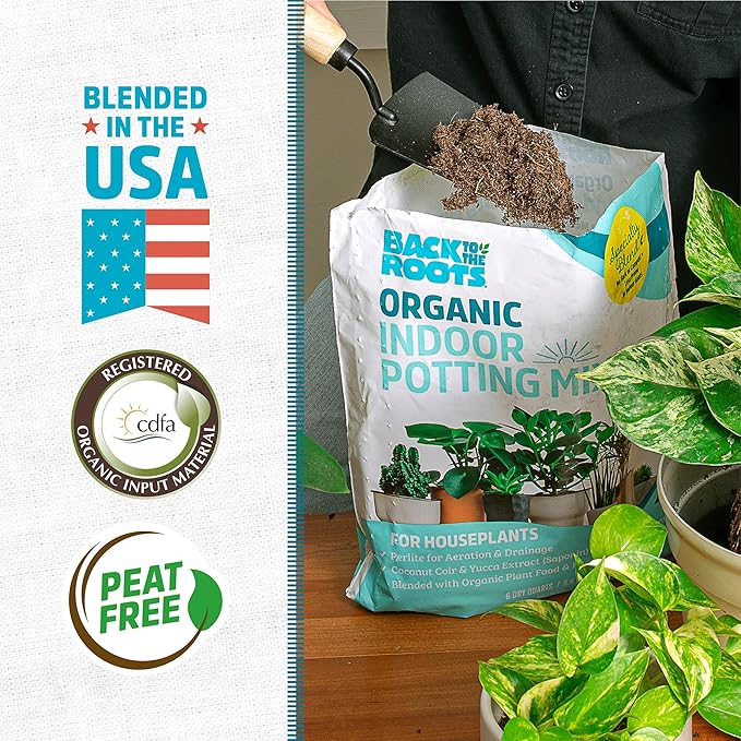 Back to the Roots 100% Organic Indoor Potting Mix (6 Quart), Promotes Healthy Houseplant Growth, Made in The USA