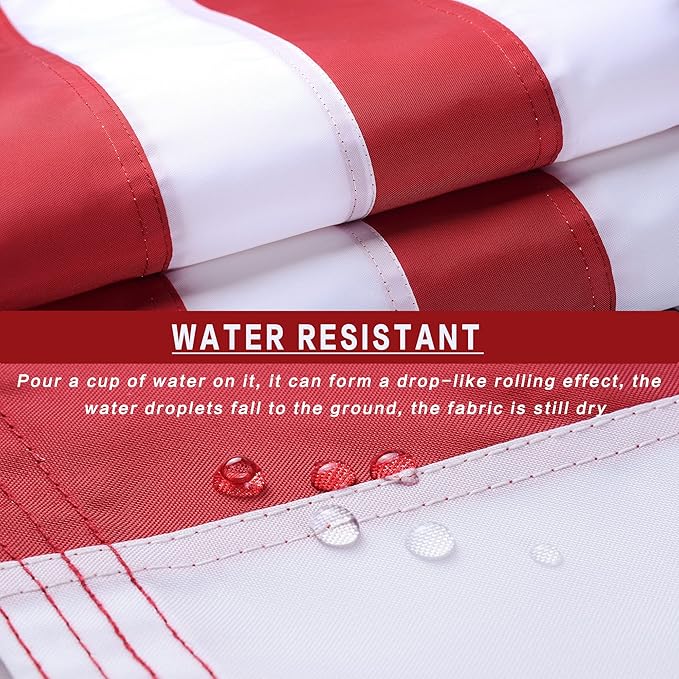 American Flag 8x12 Outside, US Flags for Outdoor Indoor, Heavy Duty Durable, Deluxe Embroidered Stars, Brass Grommets, Sewn Stripes, Vivid Color, Fade Resistant and waterproof