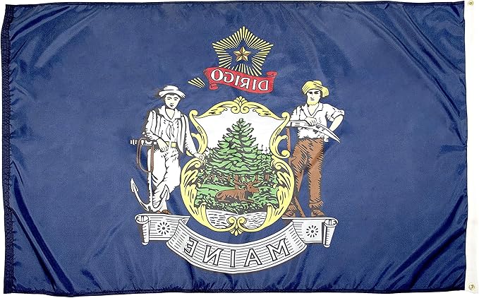 FlagSource Maine Nylon State Flag, Made in the USA, 3x5'