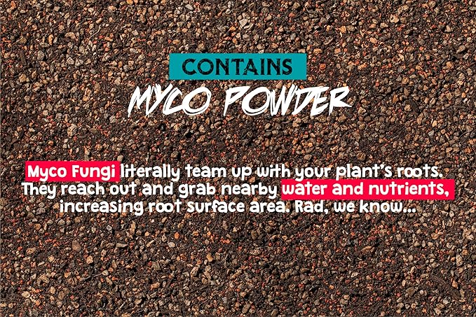 High Drainage Succulent Soil Potting Mix with Coffee Compost & Mycorrhizhal Fungi - 4 Dry Quarts - Slighly Acidic, Gritty Soil for Edgy Plants - Spike & Bloom